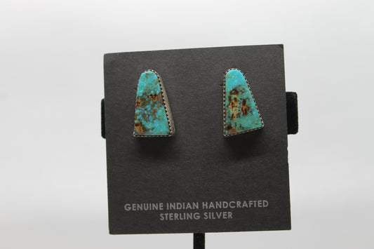 Turquoise earrings